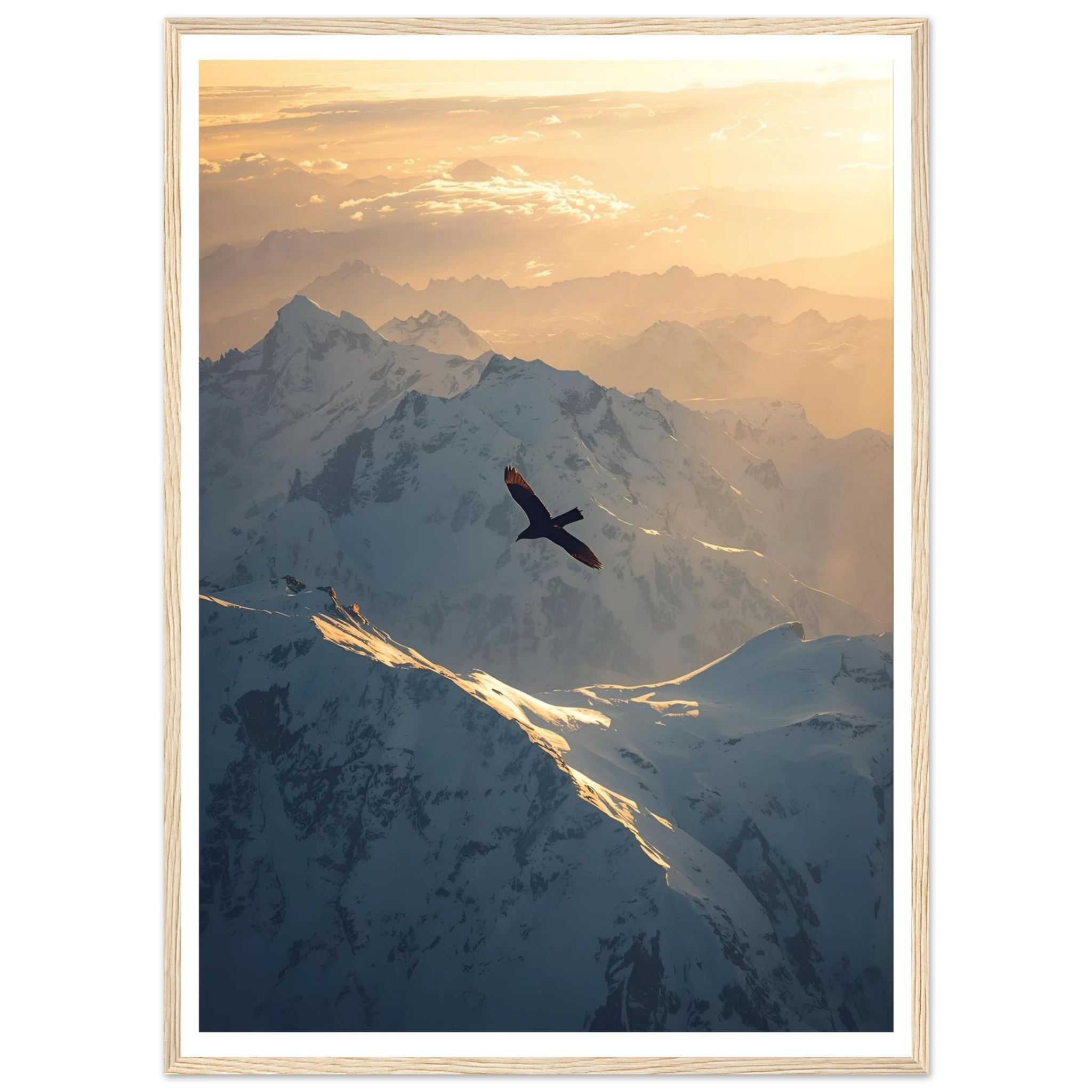 312b32ed-58ad-4645-9242-5033f9adcda1