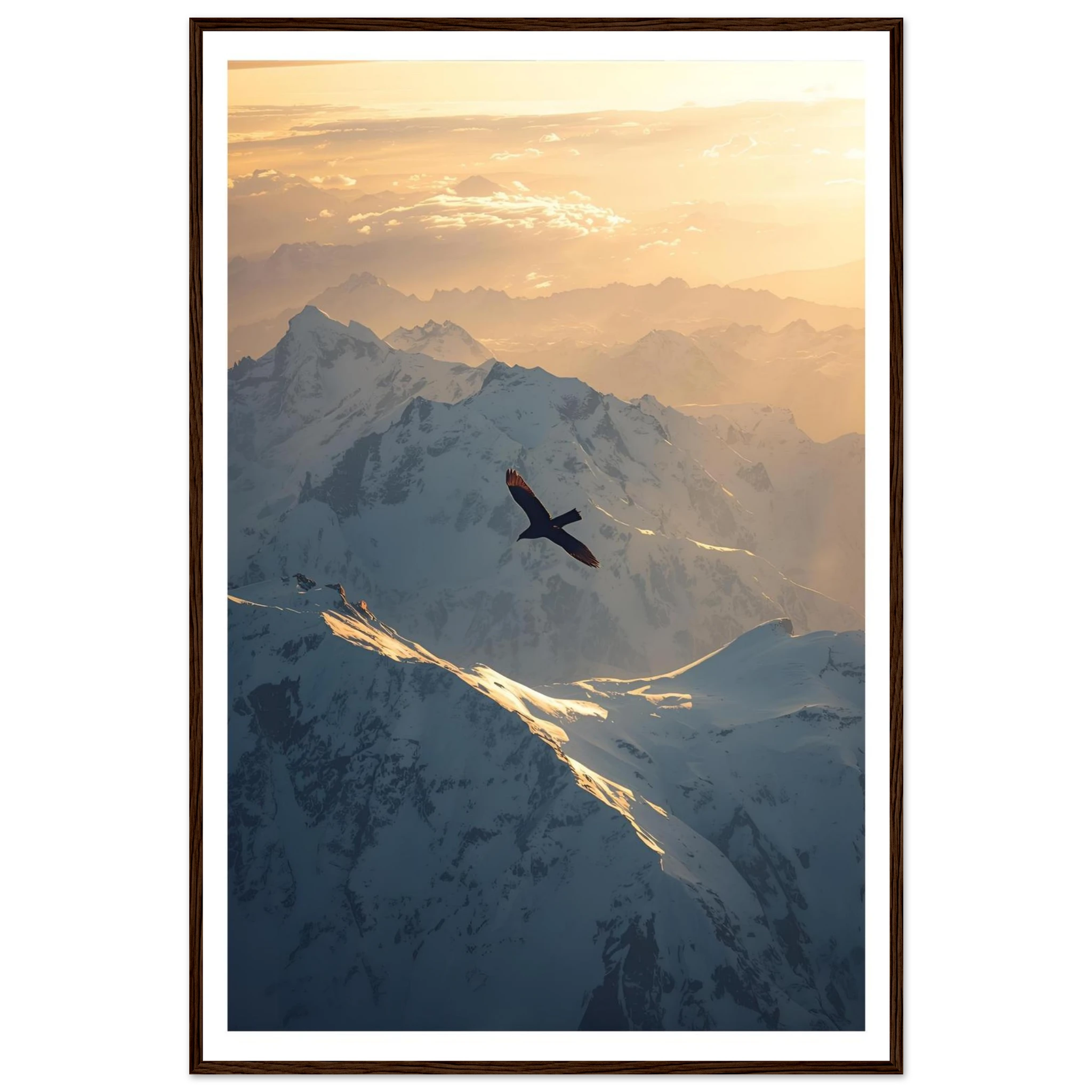 43cb0d00-da9f-43b3-8a1d-f463f6d1d48d