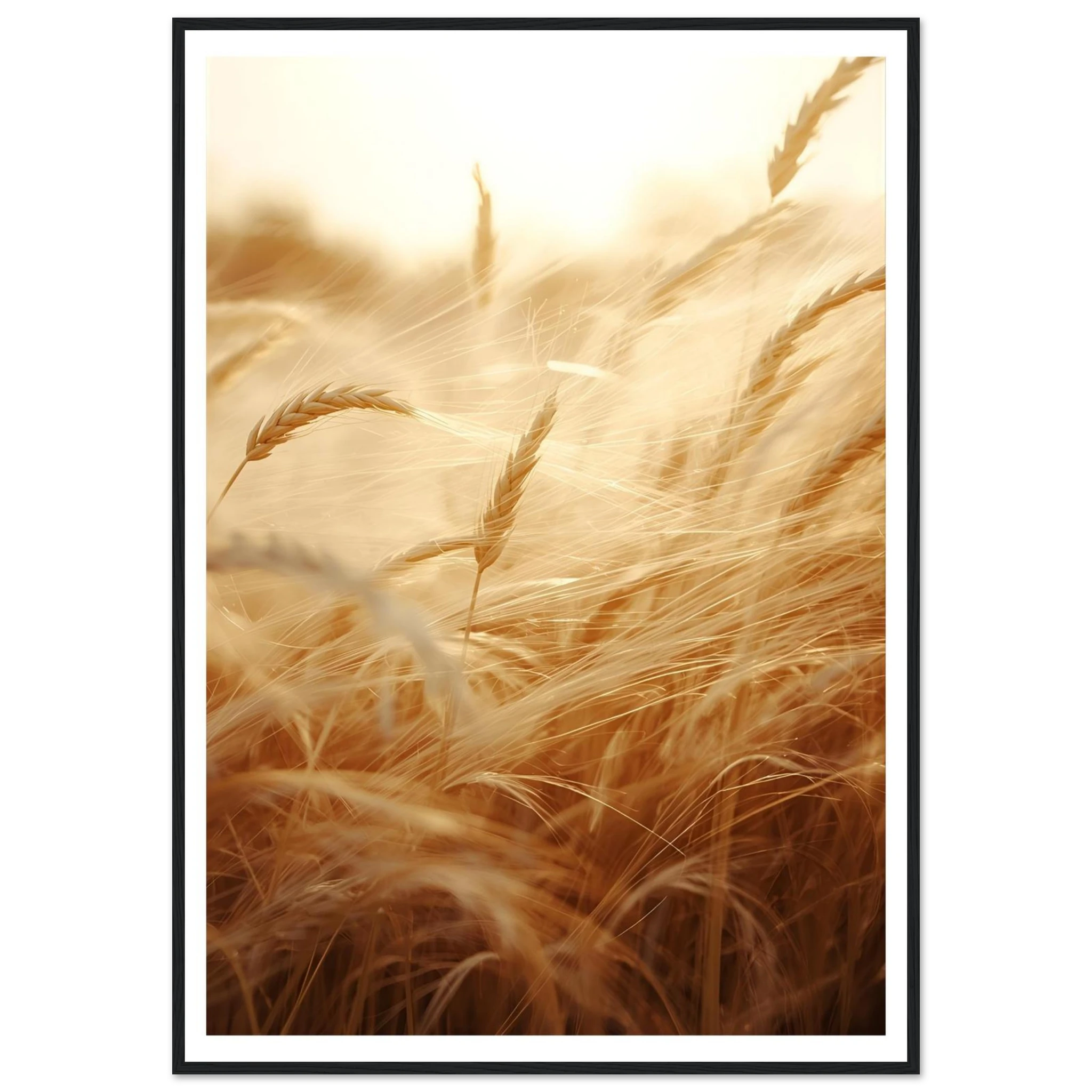 81e4c88f-77b7-48a5-8d13-8e110dac5b84