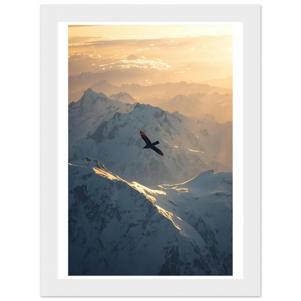 8c459662-bdfe-4c69-9472-2f378b4c92b9