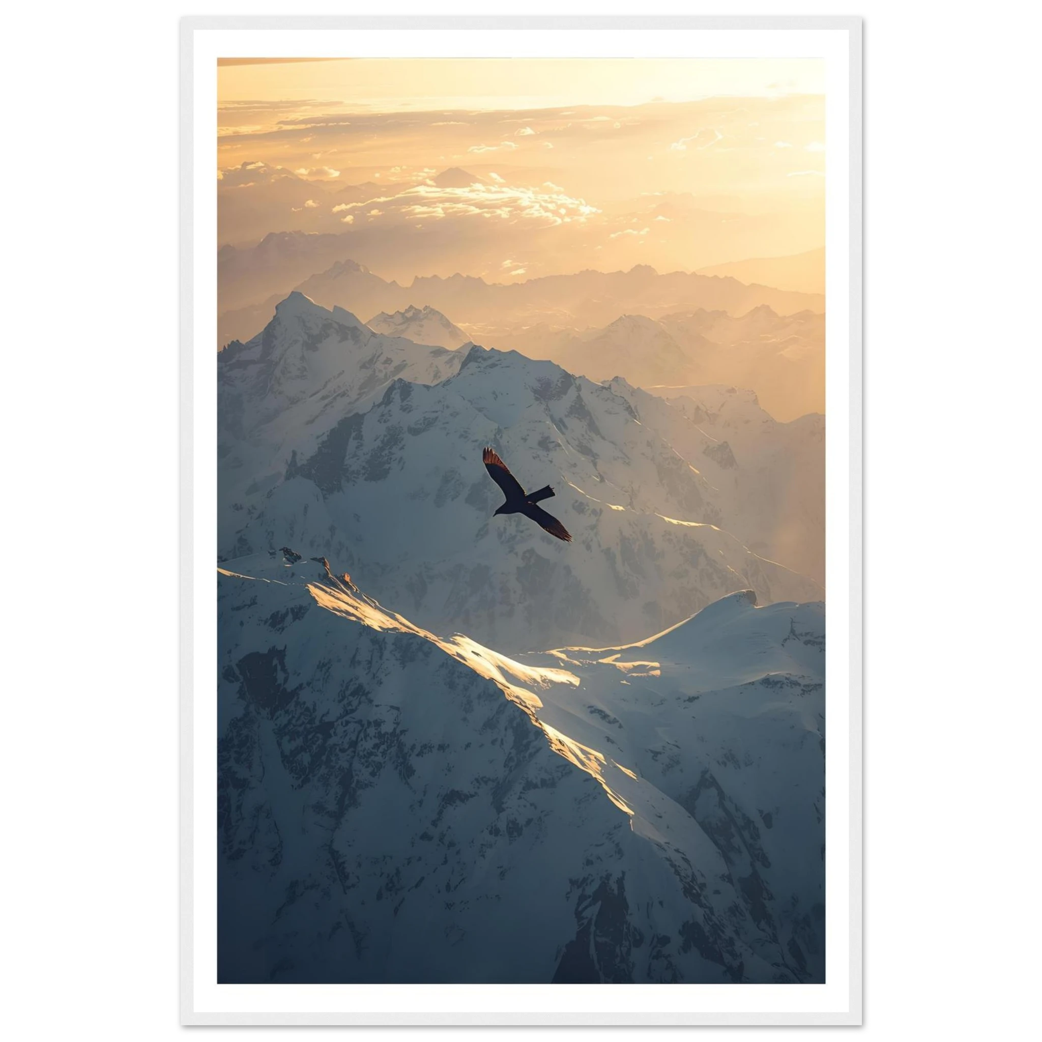 c519b2af-1031-4c03-b0ed-1d2beeebe747