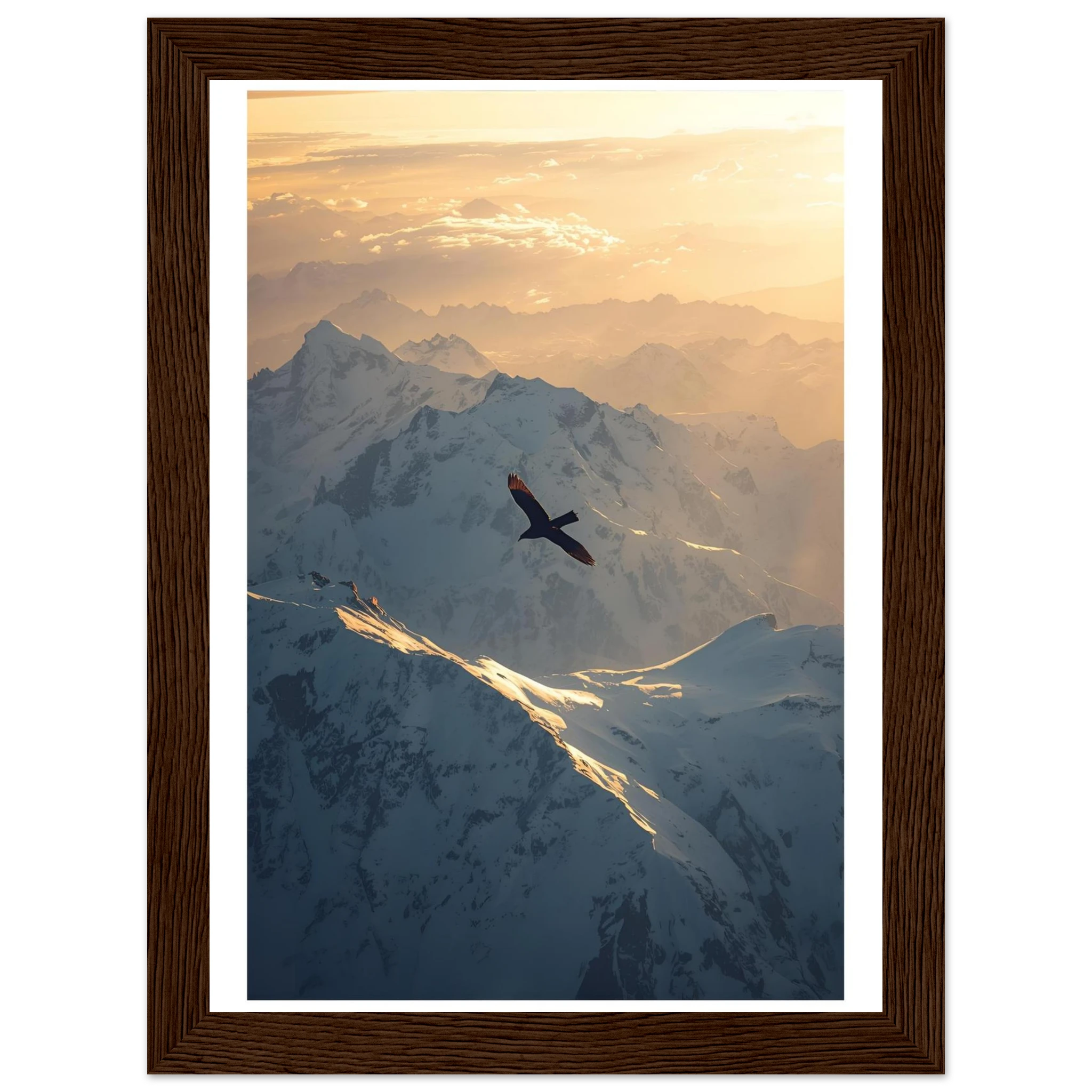 e78d6f34-95b9-4e95-af6f-26ae99b4bc07